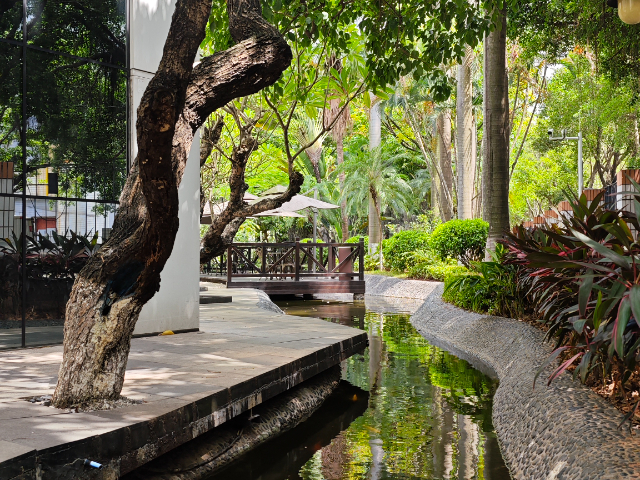 上海綠化養(yǎng)護 病蟲害防治 廣州麗芳園林生態(tài)科技股份供應(yīng);