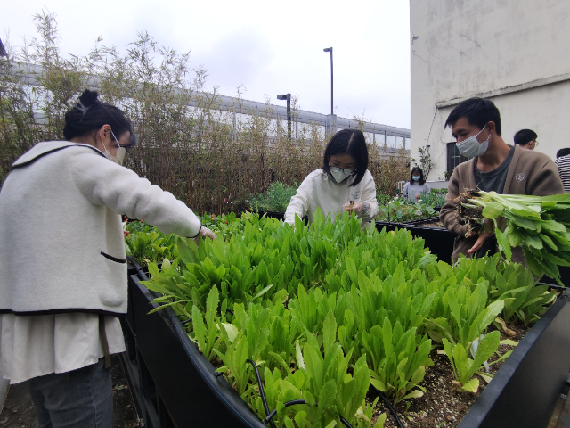 长沙DIY活动多少钱 广州丽芳园林生态科技股份供应