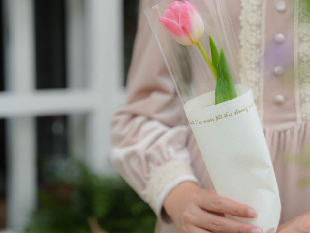 上海南京東路花藝設(shè)計(jì)方案 廣州麗芳園林生態(tài)科技股份供應(yīng)