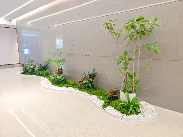 長(zhǎng)沙展會(huì)綠植布置 廣州麗芳園林生態(tài)科技股份供應(yīng)