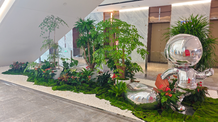 廣西活動綠植美陳 廣州麗芳園林生態(tài)科技股份供應(yīng)