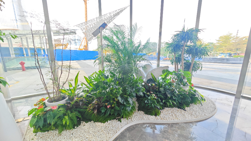 廣東活動綠植供應(yīng)商,綠植