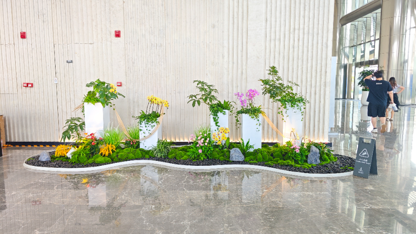 廣西市政綠植擺放,綠植