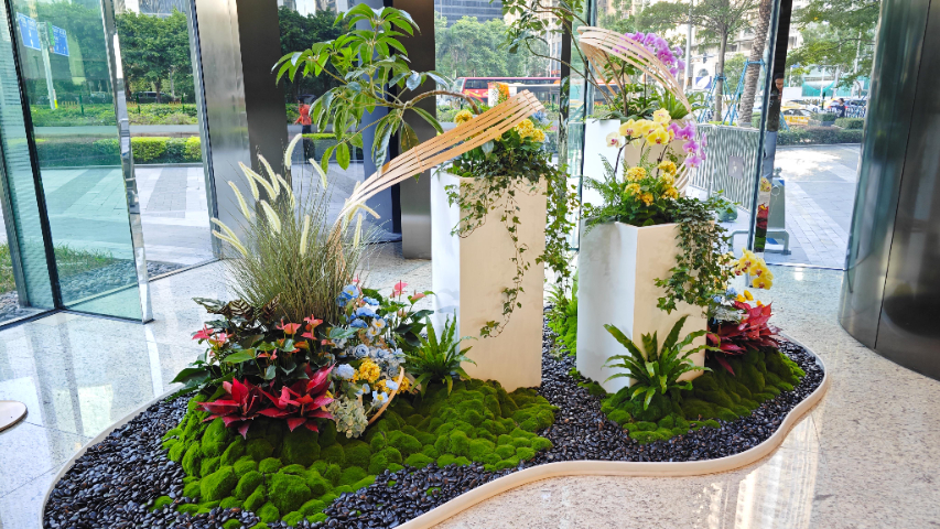 廣東酒店綠植報價,綠植