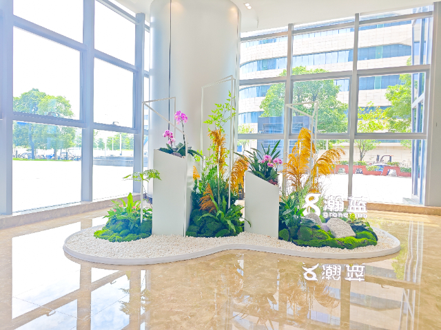 深圳采购绿植出租,绿植