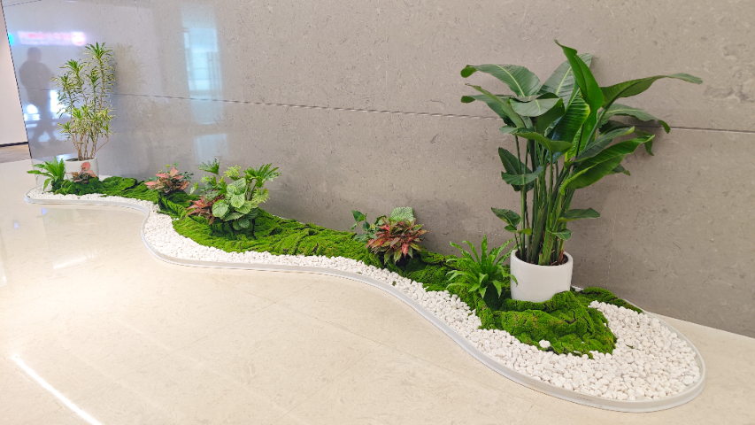 廣西市政綠植擺放,綠植