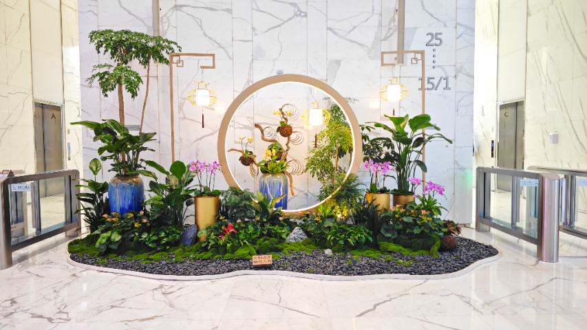 中山室內(nèi)綠植報價 廣州麗芳園林生態(tài)科技股份供應(yīng)