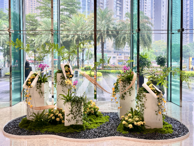 湖南展會綠植出租,綠植