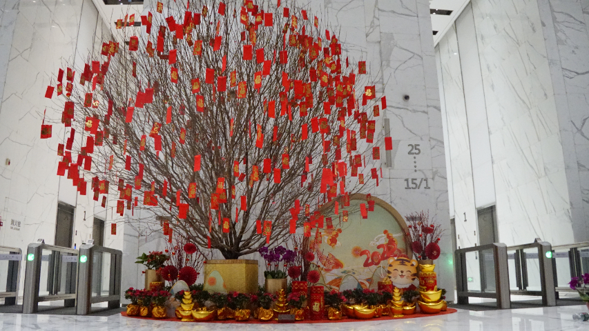 上海展會(huì)綠植供應(yīng)商 廣州麗芳園林生態(tài)科技股份供應(yīng)