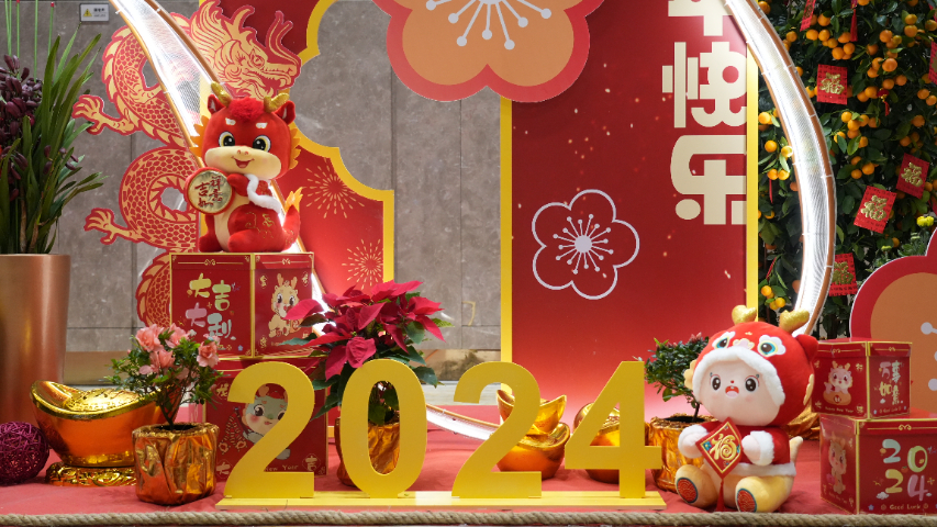 廣東辦公室綠植設(shè)計(jì),綠植