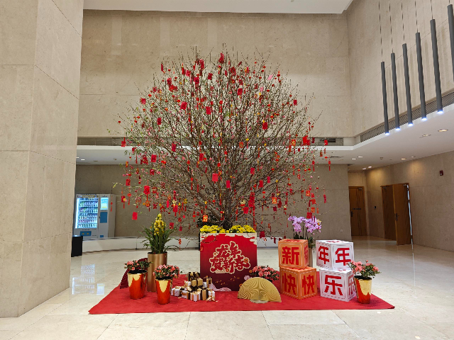 長沙商場綠植哪家好,綠植