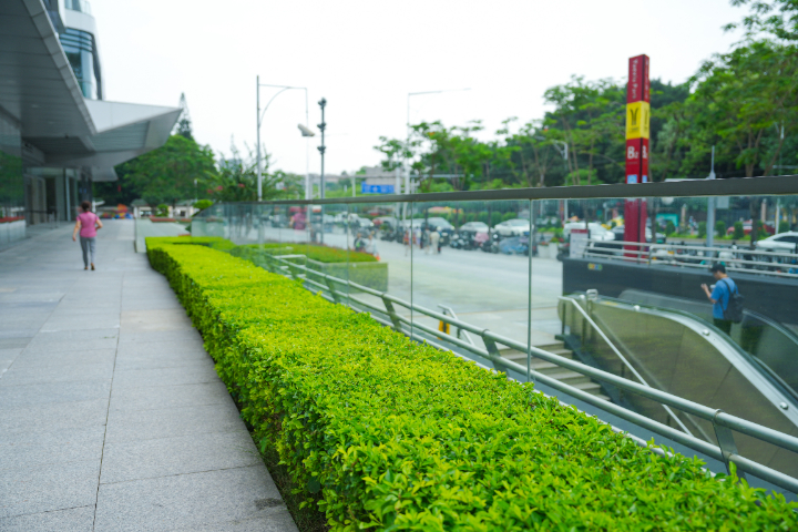 深圳市政道路綠化養護