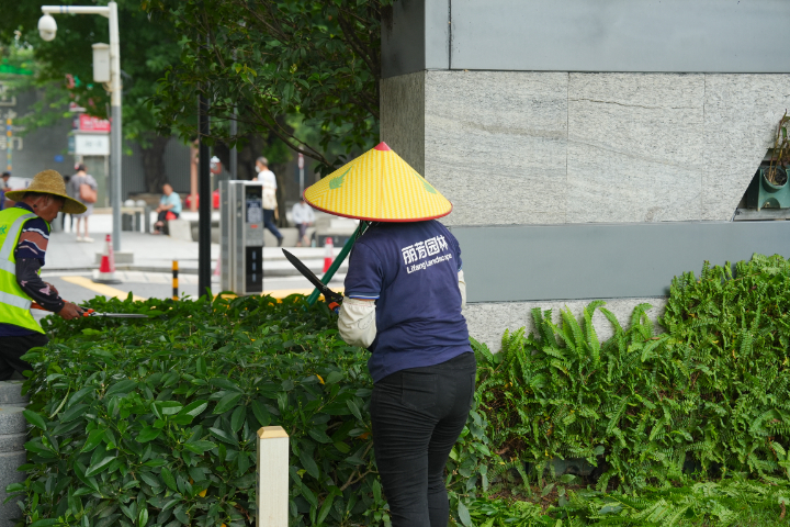 湖南花境養(yǎng)護(hù)服務(wù)
