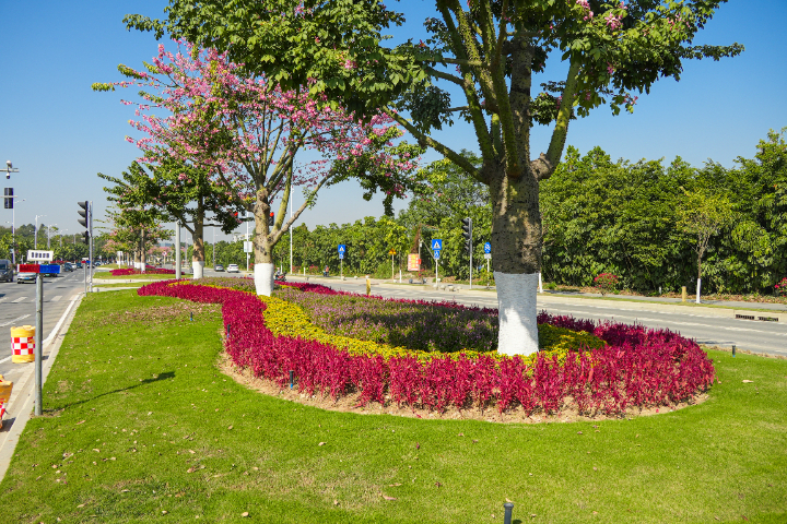 上海園區(qū)景觀工程營(yíng)建 廣州麗芳園林生態(tài)科技股份供應(yīng)