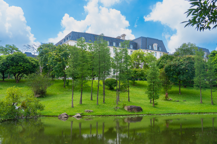 上海庭院養護供應商 廣州麗芳園林生態科技股份供應