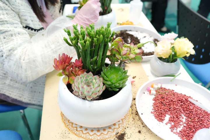 上海前臺花藝包月 廣州麗芳園林生態(tài)科技股份供應