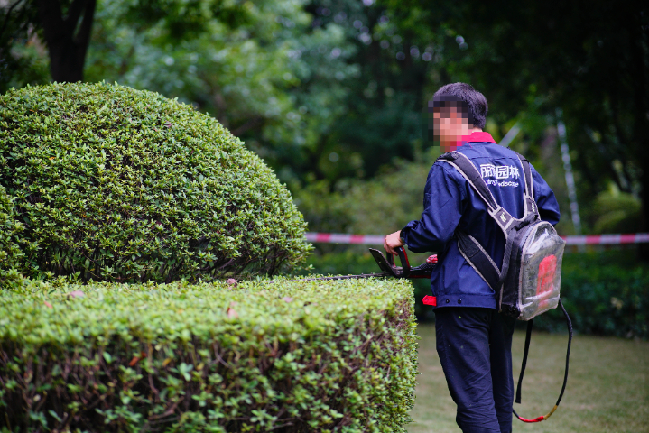 上海园林养护服务商 广州丽芳园林生态科技股份供应