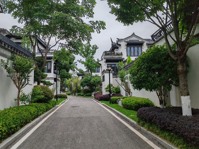 湖南婁底草坪批發(fā)商 廣州麗芳園林生態(tài)科技股份供應(yīng);