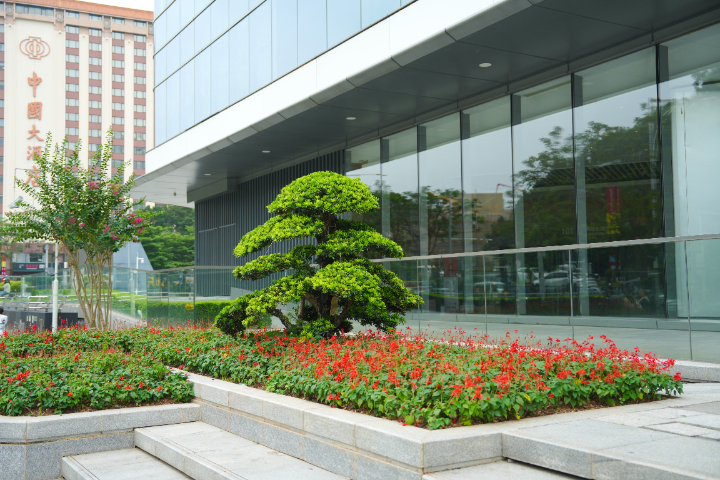 東莞市政綠化養(yǎng)護哪家好,養(yǎng)護