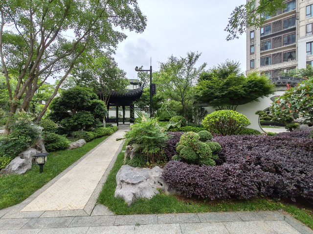 東莞花境養(yǎng)護價格,養(yǎng)護