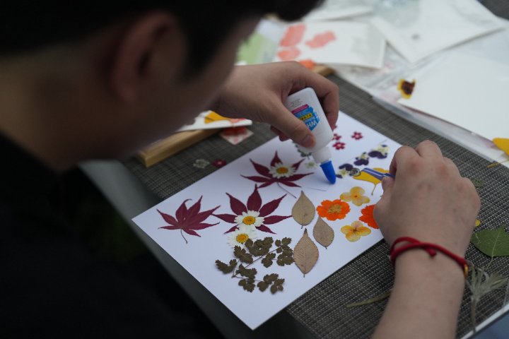中山商鋪花藝供應(yīng)商,花藝