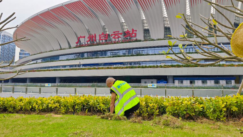 南寧草地養(yǎng)護服務(wù)