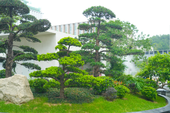 湖北景區(qū)景觀工程服務(wù),工程