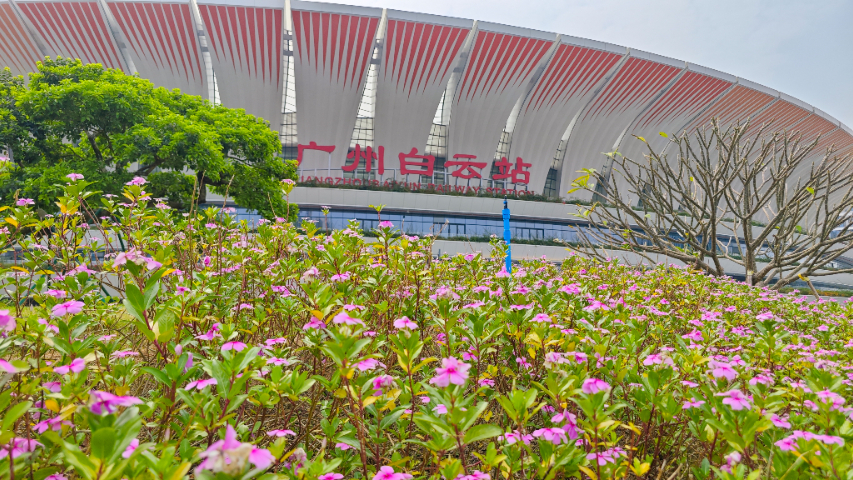 深圳花園養(yǎng)護(hù),養(yǎng)護(hù)
