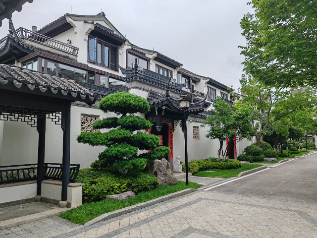 東莞花境養(yǎng)護價格,養(yǎng)護