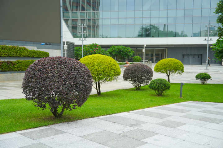 湖北小区园林养护哪家好 广州丽芳园林生态科技股份供应