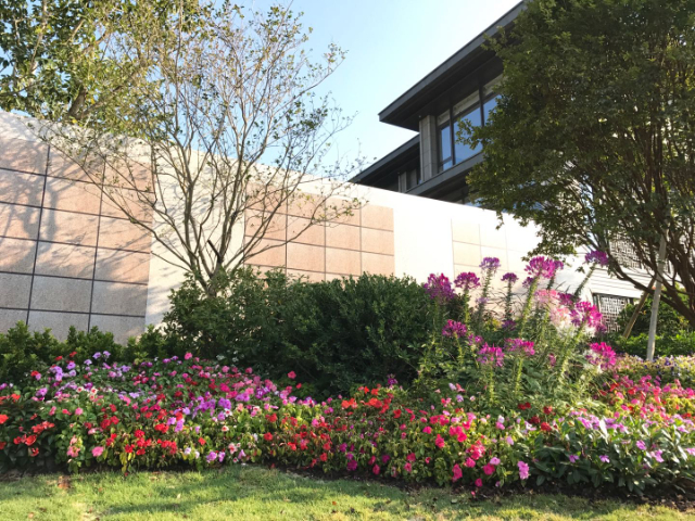 中山日式庭院施工公司,庭院