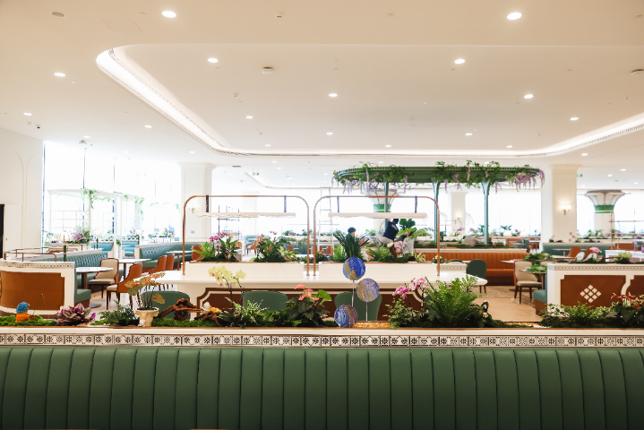 武漢餐廳綠植報價,綠植