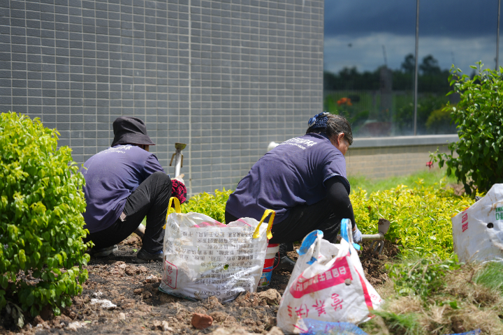 湖北別墅庭院工程營建 廣州麗芳園林生態(tài)科技股份供應