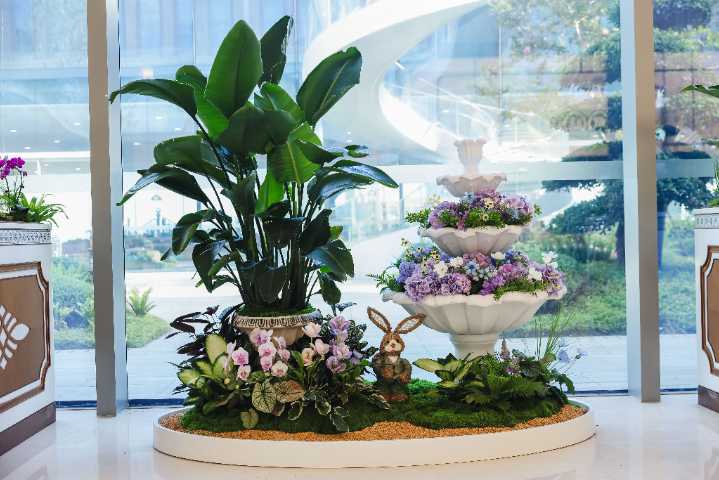 清遠門店綠植設(shè)計