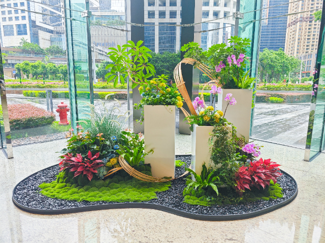 佛山公司绿植价格,绿植