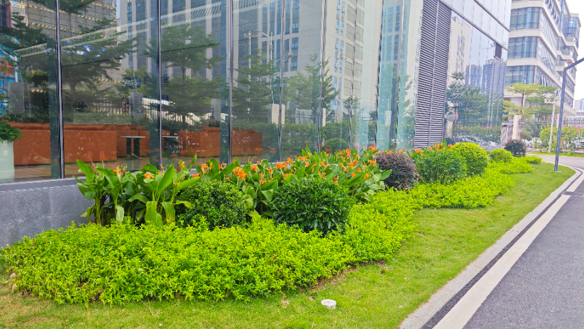 深圳公園綠化工程造價,工程