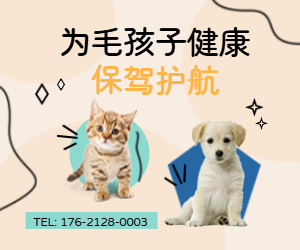 为毛孩子健康保驾护航