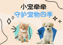 小宠牵牵守护宠物
