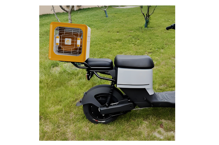 湖北老年宠宠物托运平台推荐,宠物服务