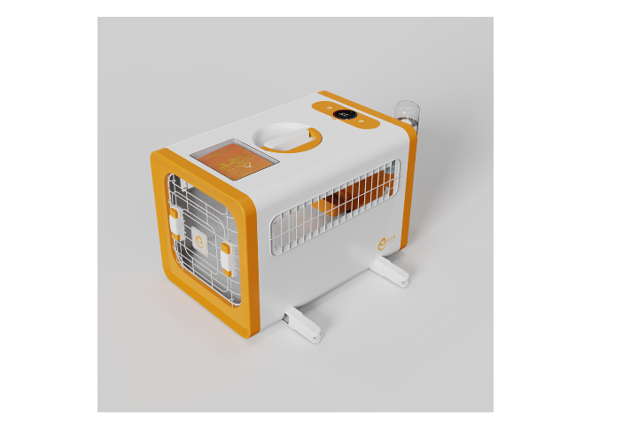 河南特殊需求宠物洗护哪个公司好,宠物服务