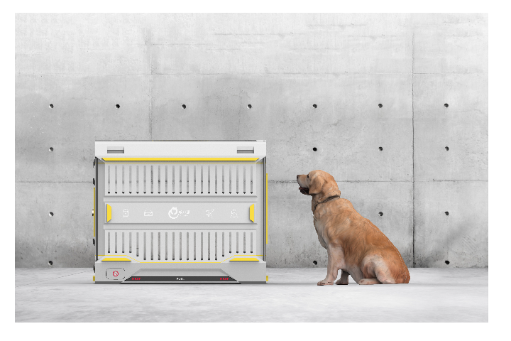 河南特殊需求宠物洗护哪个公司好,宠物服务