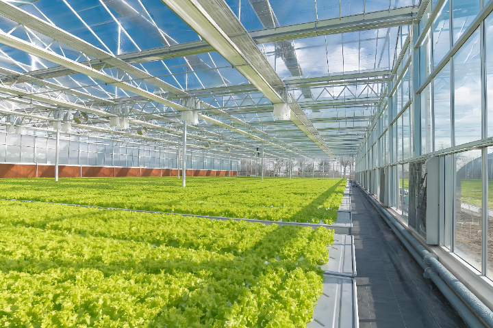 連云港采光pc陽(yáng)光板透光性怎么樣 蘇州逆鱗新材料供應(yīng)