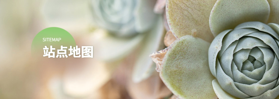 石家莊數(shù)字工具數(shù)字營銷平臺智能AI模型 天津市百福思信息科技供應 天津市百福思信息科技供應