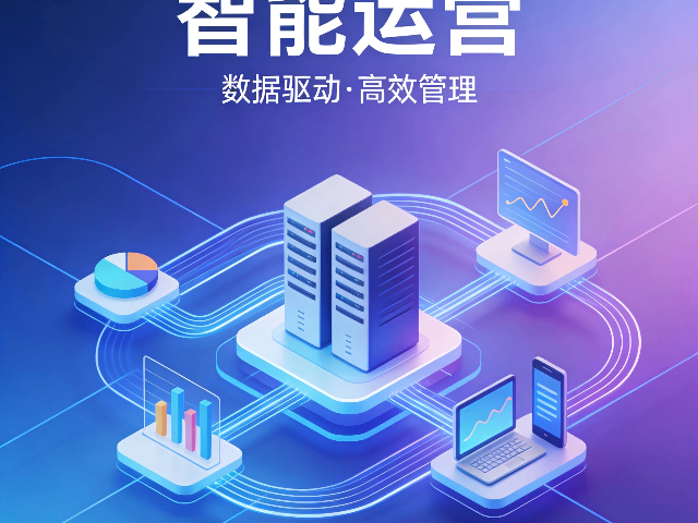 閩侯智能運(yùn)營(yíng)咨詢團(tuán)隊(duì) 創(chuàng)新服務(wù) 福州榕臻科技供應(yīng)