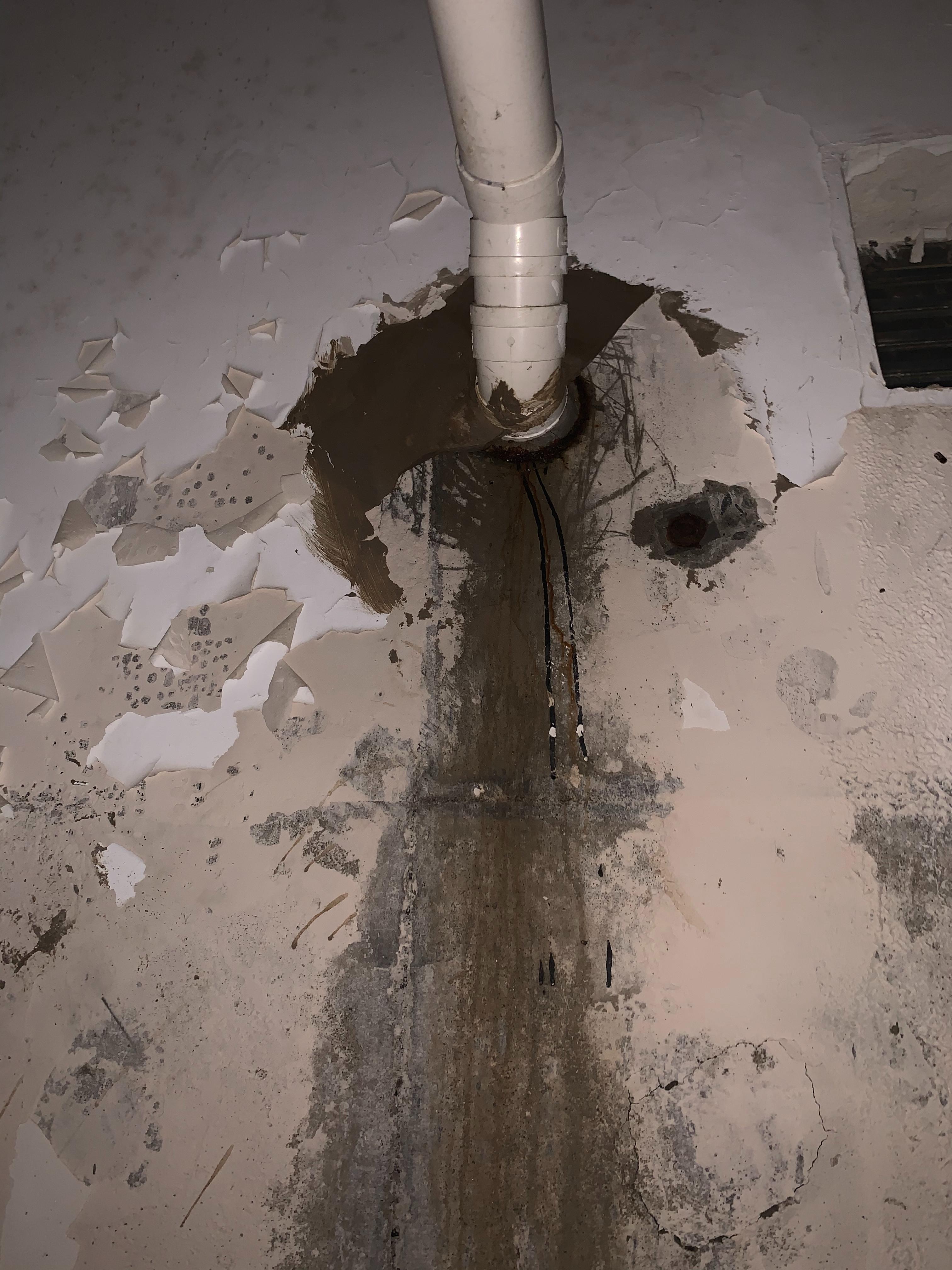 防水補漏有訣竅！專業團隊攻克外墻、屋面、地下室滲漏難題