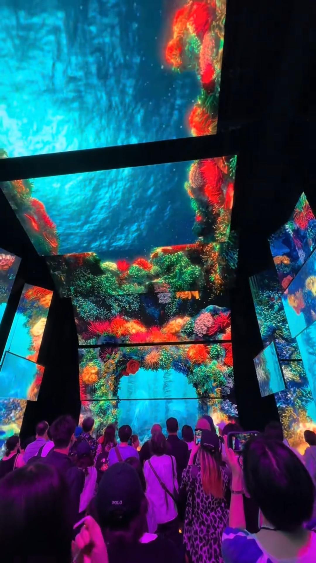 数字展厅 | LED多屏拼接的沉浸式海洋馆