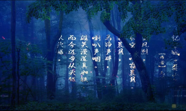 夜游景区树林纱幕投影