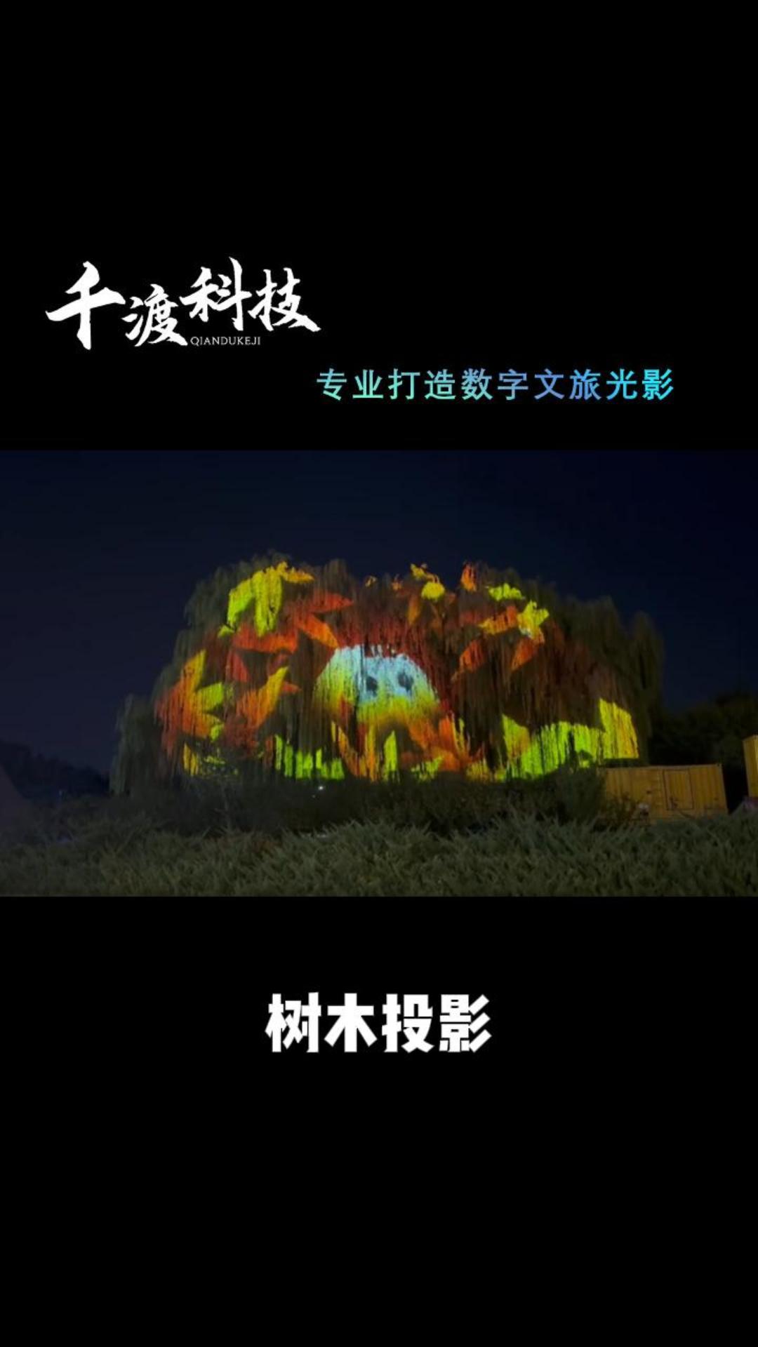 景区树木投影