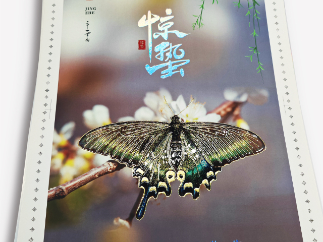 浙江宣傳手冊(cè)快印 歡迎來(lái)電 麗邱緣科技上海供應(yīng)