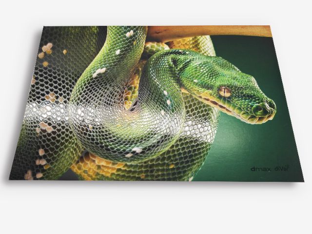 江蘇高清單頁制作 推薦 麗邱緣科技上海供應(yīng)